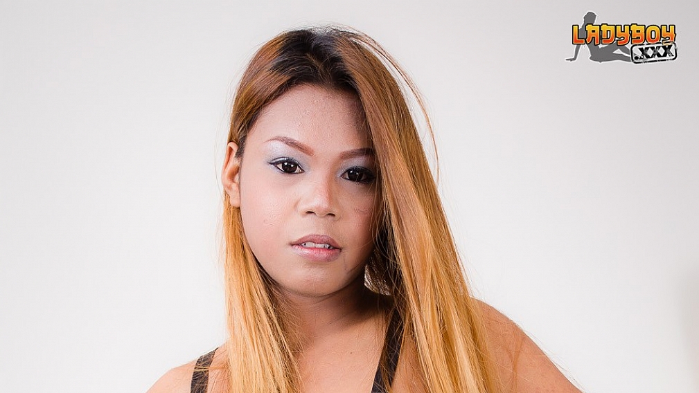 Bee - Leopard Print Stockings