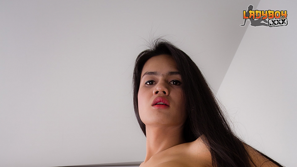 Horny Hung Nej!